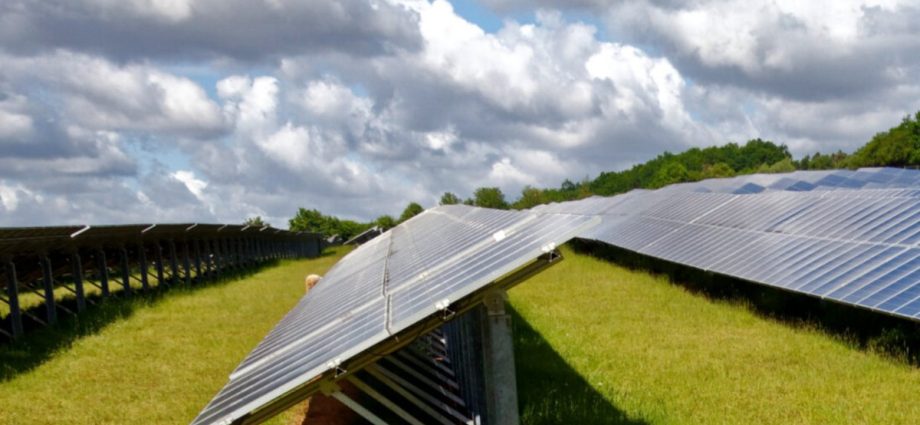 The Tauhei Solar Farm